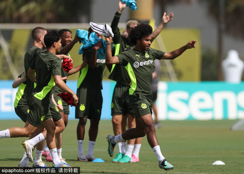 多特蒙德核心球员被曝转会传闻，引球迷热议，的是电影系统经营.