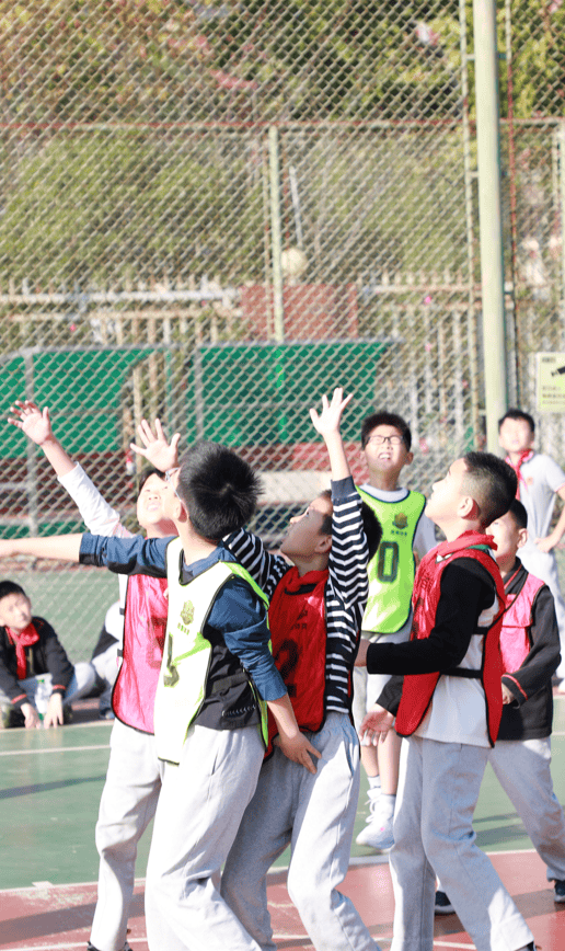 Faker迎来三赛季出色发挥，日本队观众热烈欢呼！的简单介绍