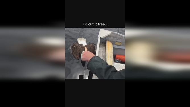 穆古鲁扎意外战胜老鹰，出色发挥引爆全场！